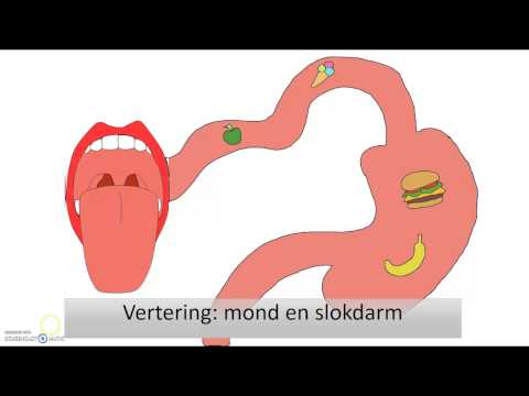 Video: Mond En Slokdarm