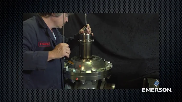 Fisher EZH Regulator Size 4", 6", 8", and 12"x6" Disk Maintenance