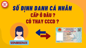 Số Định Danh Cá Nhân: Xin Cấp ở Đâu, Có Dùng Thay CCCD Được Không? | TVPL