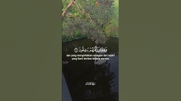 قرآن كريم بصوت جميل #اكسبلور #الرحمن #راحة_نفسية #المصحف #لايك #دويتو #حالات_واتس #القزابري #الظروف