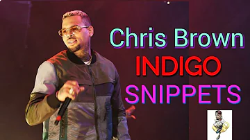 Chris Brown Tracks for upcoming album Indigo