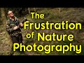 The frustrating side of nature photography - sometimes you don't get the shot