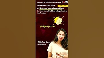 VERY IMPORTANT 3 MARK  QUESTION #sslc #sslcexam #christmasexam