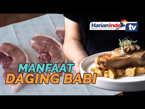 Manfaat Daging Babi Untuk Anak