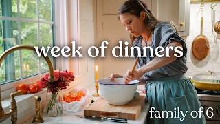 One Grocery Trip, A Week of Dinners