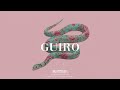 "Guiro" - J Balvin x Maluma Type Beat