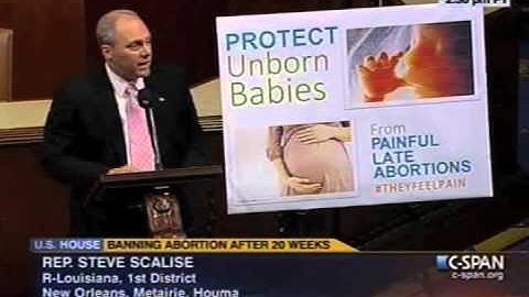 Congressman Scalise (LA-01) on H.R. 1797, the Pain-Capable Unborn Child Protection Act.