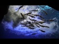 北海道　北の大地の水族館　山の水族館 の動画、YouTube動画。