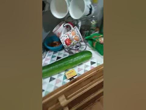 огурец - гигант - YouTube
