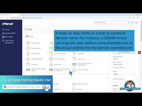 How to add CNAME Record in cPanel using the DNS Zone Editor with Hogfish Hosting