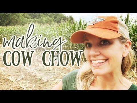 corn-silage-harvest-2020-:-part-2