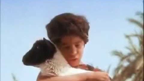 Thumbnail of Bob Fitts - Sacrifice  (Lyric Video)