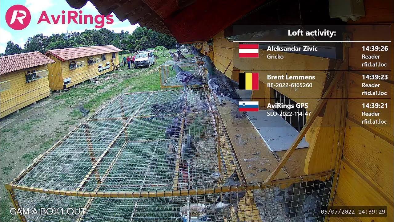 AviRings Derby 2022 YouTube