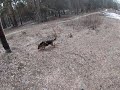 Тимкин след 21.04.21
