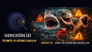 Bir Kurbağa Nasıl Bu Kadar Ölümcül Olabilir? Zehirli Ok Kurbağalarının Sırrı