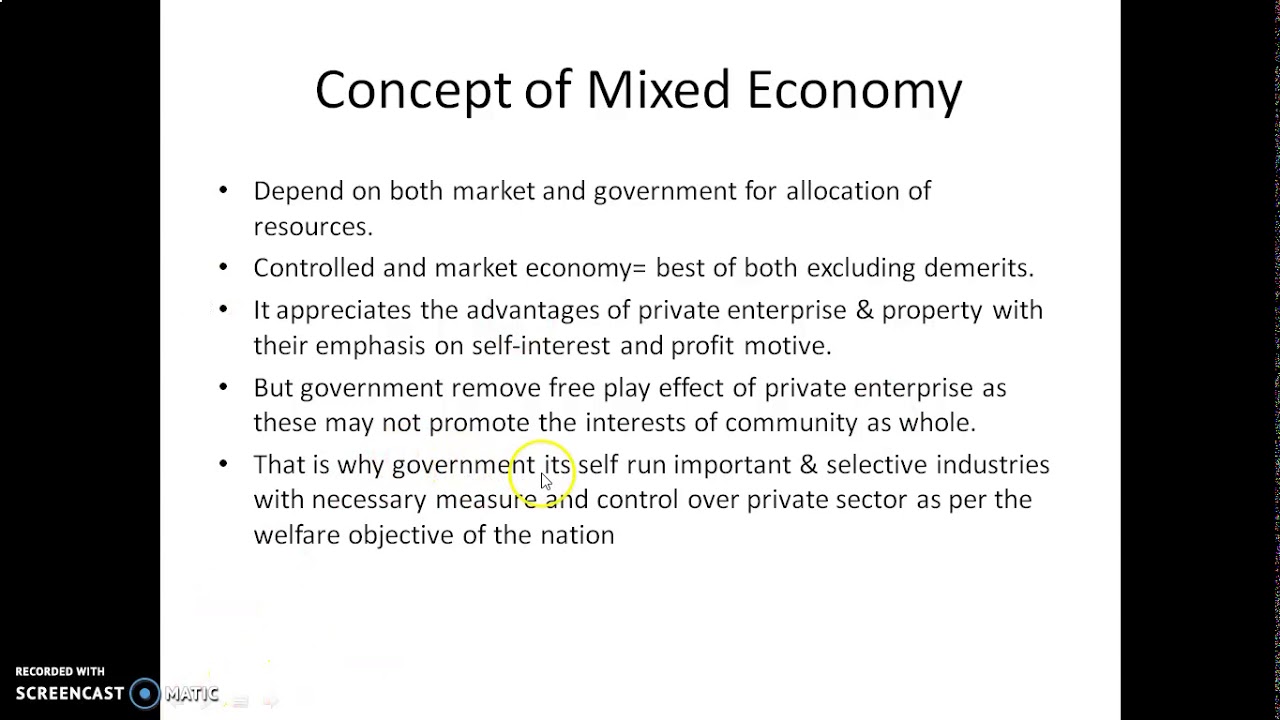 importance of mixed economy
