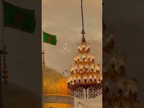 دردمندم به من دوا بدهید