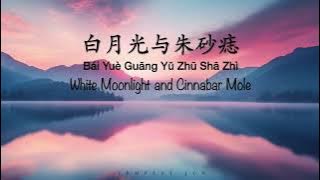 白月光与朱砂痣 White Moonlight and Cinnabar Mole [大籽 Da Zi] - Chinese, Pinyin & English Translation 歌词英文翻译