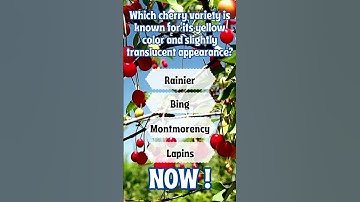 The Impossible Quiz: Can You Break the Code and Win? #shortsfeed #Viralshorts #quiz #riddles