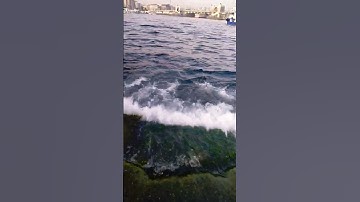 سوره الرحمن الايه 19