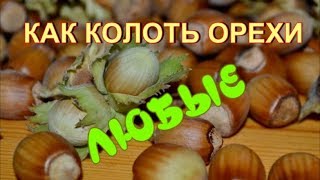 КАК КОЛОТЬ ОРЕХИ. ЛЮБЫЕ