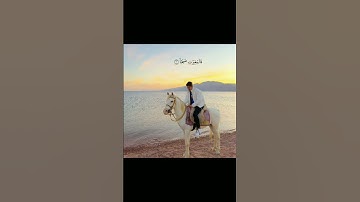 عبدالرحمن مسعد | سورة العاديات