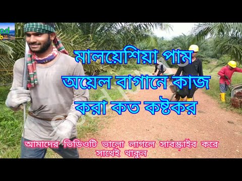 ভিডিও: একটি বাগান বায়ুচালক কি করে?