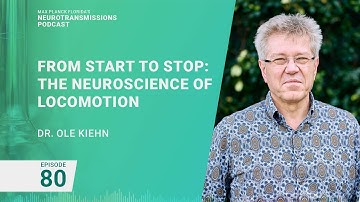 Podcast Ep. 80 - Neuroscience of Locomotion | Ole Kiehn