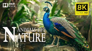 8K ANIMALS LIFE NATURE 🐾Amazing Wilderness Animals Movie with Cinematic Sound (Colorful Animal Life)