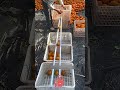 Farming Hack! 🍊 DIY Wooden Fruit Sorter 🪄 Roll & Drop for Fruit Grading 🎯✨