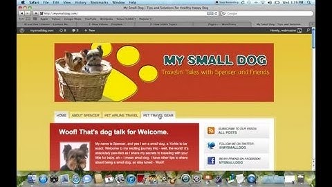 How to Add WordPress Tabs to a Header : WordPress Guide