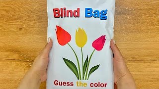 Guess the color BLIND BAG🌈paper blind bag