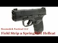 Springfield Armory Hellcat Field Strip