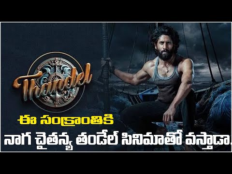 ఈ సంక్రాంతికి నాగ చైతన్య తండేల్ సినిమా తో వస్తాడా.? Naga Chaitanya | Thandel Movie | Tollywood