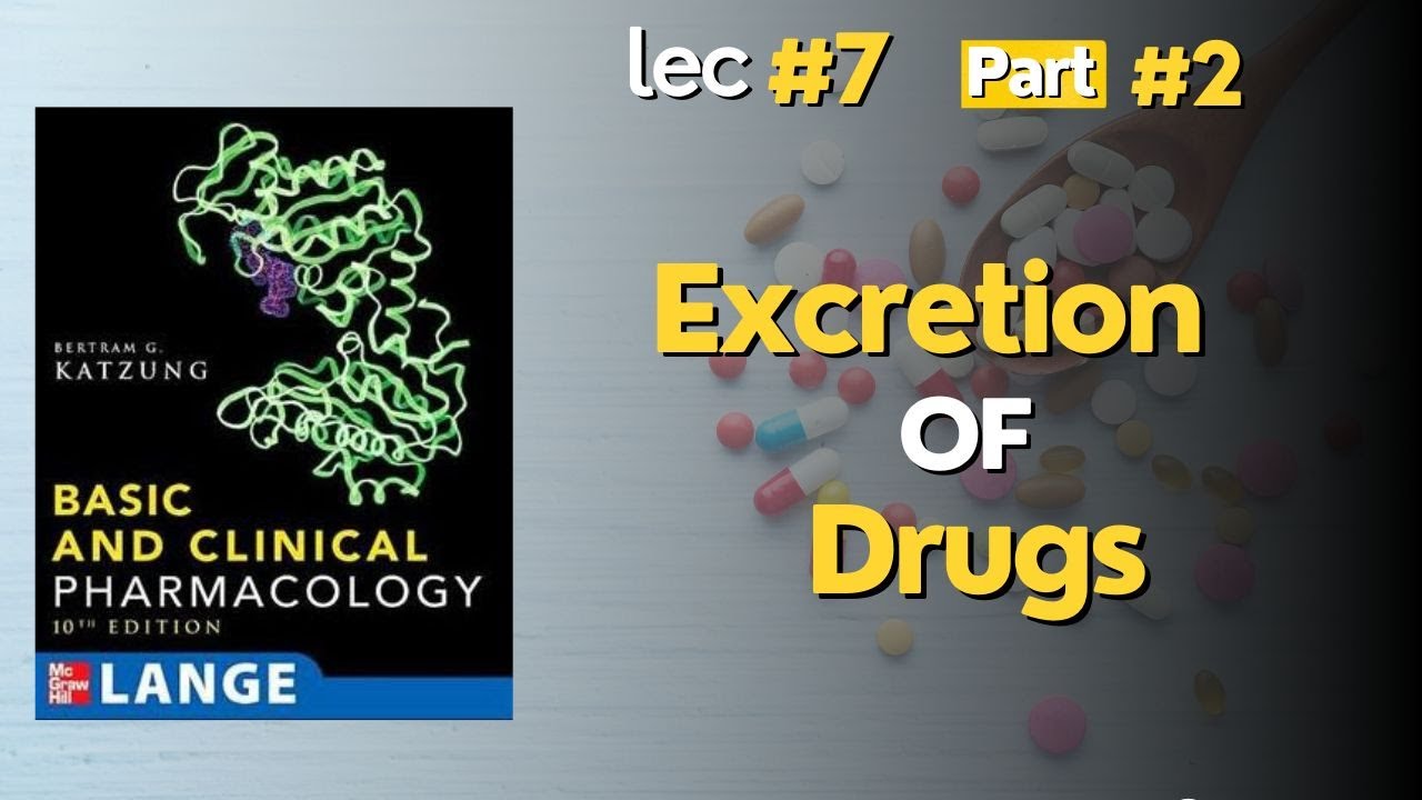 excretion of drug @ pharmacology : lecture # 7 ; part 3 - YouTube