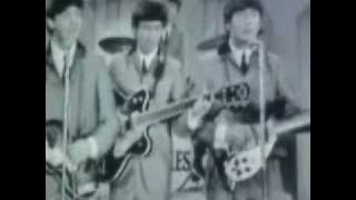 The Beatles - Ask Me Why (2009 Stereo Remaster)