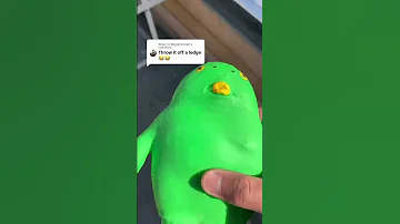 Throw It Off A Ledge 