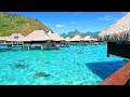 Vacation mindset tropical hotel ambience from french polynesia