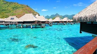 Vacation Mindset: Tropical Hotel Ambience From French Polynesia