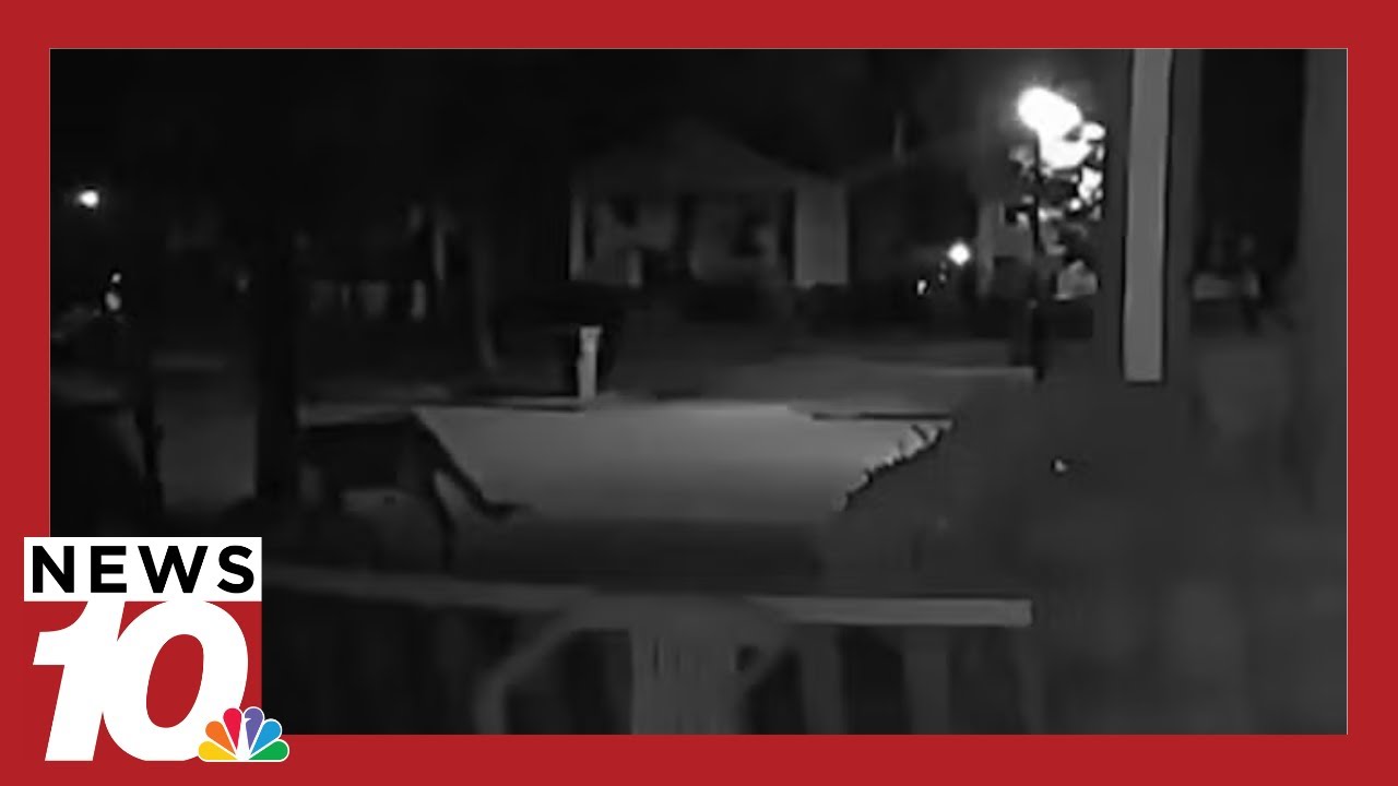 Did video capture a mountain lion in Rochester? An expert weighs in