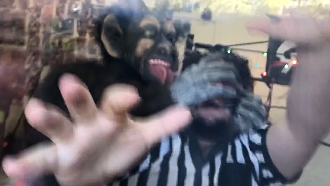 Рождественский Крампус забрал нашего друга — мы пытаемся его спасти!