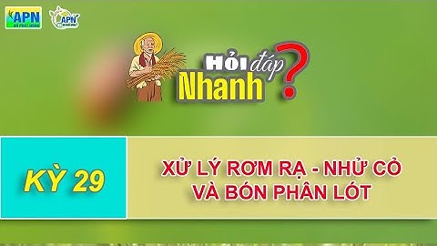 APN  - XỬ LÝ RƠM RẠ - NHỬ CỎ VÀ BÓN PHÂN LÓT - HĐN 29 - VŨ KỸ SƯ #anphatnong