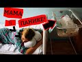 На выписке из роддома медсестра вручила маме сверток с малышом, Мама сразу поняла, ЕЁ ОБМАНУЛИ !