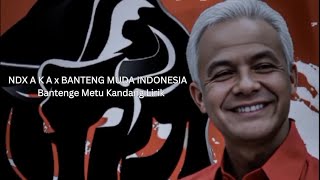 NDX A K A x BANTENG MUDA INDONESIA   Bantenge Metu Kandang Lirik
