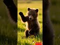 WONDER! Cutest Baby Animals That Will Heal Your Soul ❤️ #BabyAnimals #CuteShorts #ViralNature