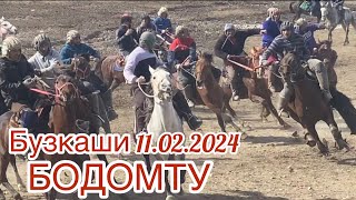 картинка: Бузкаши 11.02.2024 Бодомту