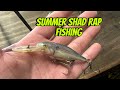 When The Shad Rap Outfishes ANY Other Crankbait In The Summer…