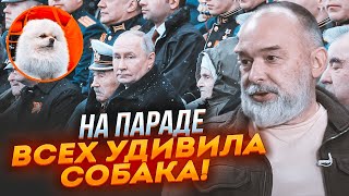 💥ШЕЙТЕЛЬМАН: все обратили внимание на собаку Лукашенко – речь путина никто не слушал!