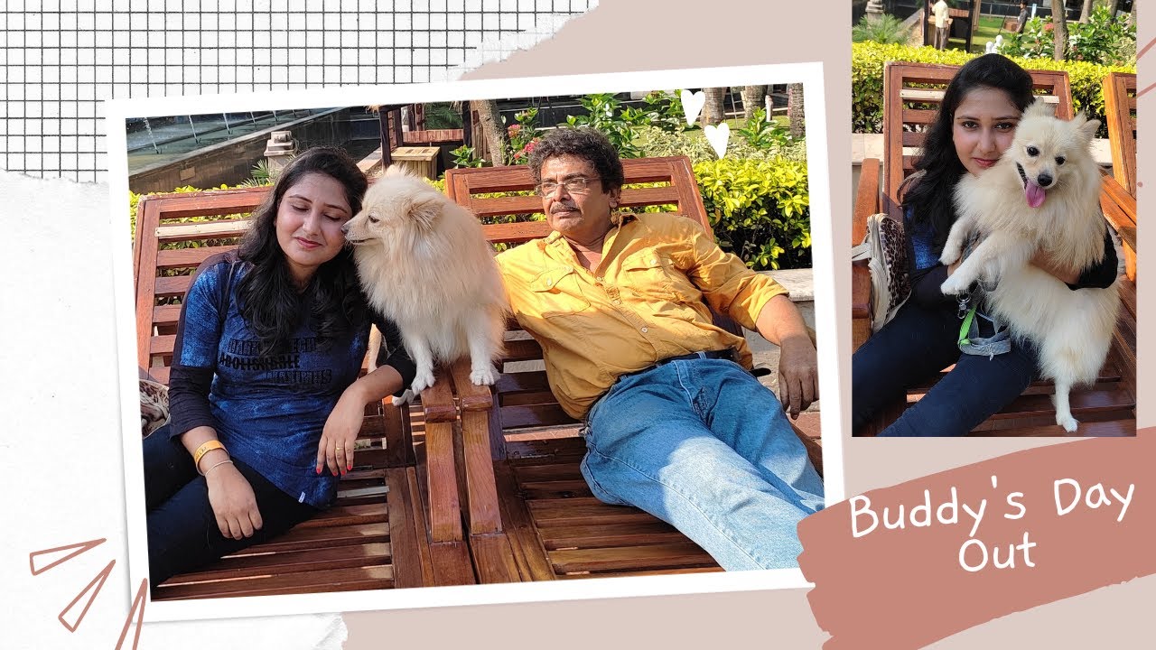 dog-party-at-hyatt-regency-part-ii-hyatt-regency-pet-friendly-event