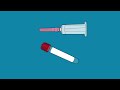 En how to draw blood sample collection in cattle  idexx laboratories